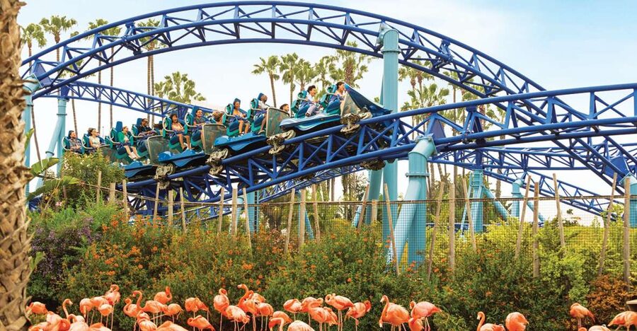 San Diego: SeaWorld Skip-the-Line Park Admission Ticket - Electric Eel, Manta, and the thrill rides