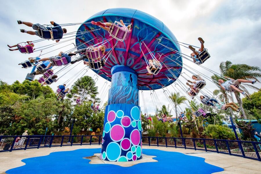 San Diego: SeaWorld Skip-the-Line Park Admission Ticket - Who gets the best value from the $85 ticket?