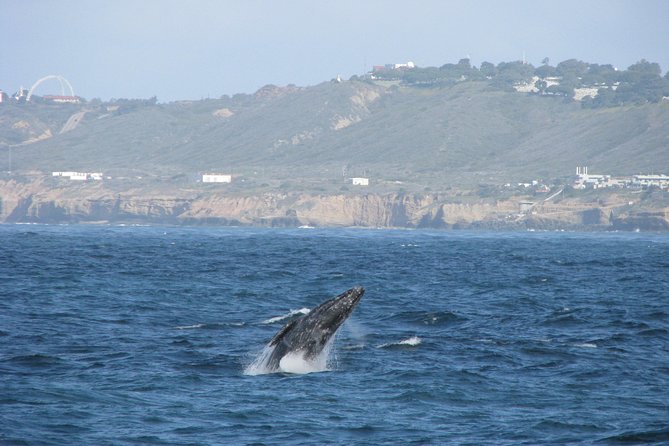 San Diego Whale Watching Cruise - Old Point Loma Lighthouse and the harbor views