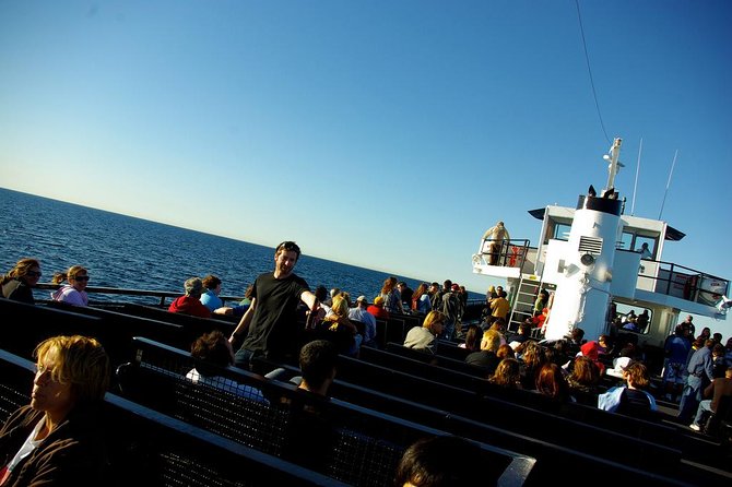San Diego Whale Watching Cruise - Dolphins, sea lions, and the surprise sightings