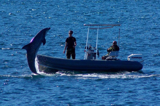 San Diego Whale Watching Cruise - Snacks, drinks, and what to bring