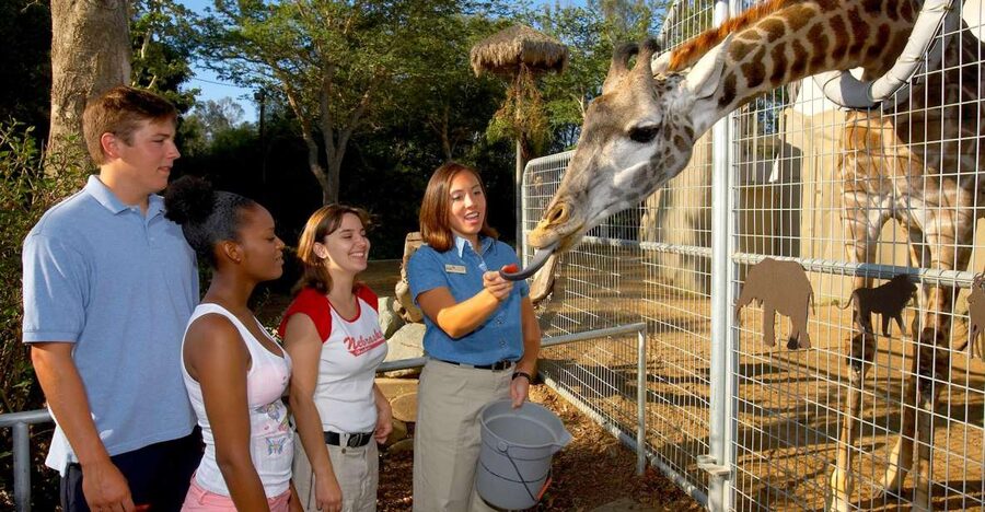 San Diego Zoo: 1-Day Admission Ticket - First impressions at the 100-acre zoo