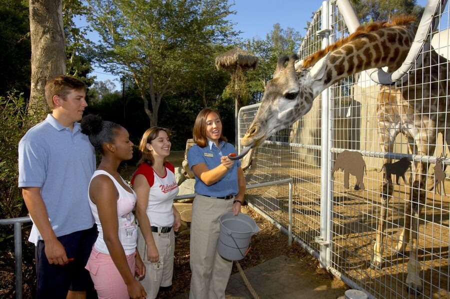 San Diego Zoo: 1-Day Admission Ticket - The guided bus tour gives you the big picture