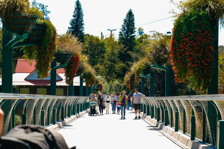 San Diego Zoo: 1-Day Admission Ticket - Africa Rocks packs unusual animals into one area