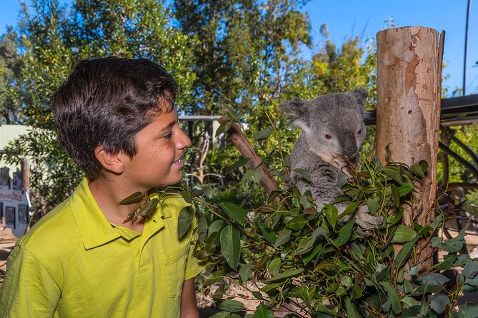 San Diego Zoo 1-Day Pass: Any Day Ticket - Pandas, koalas, and the most popular habitats