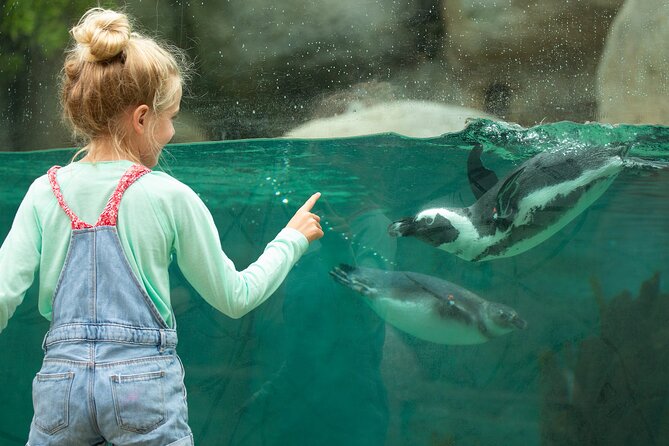 San Diego Zoo 1-Day Pass: Any Day Ticket - Accessibility and mobility planning