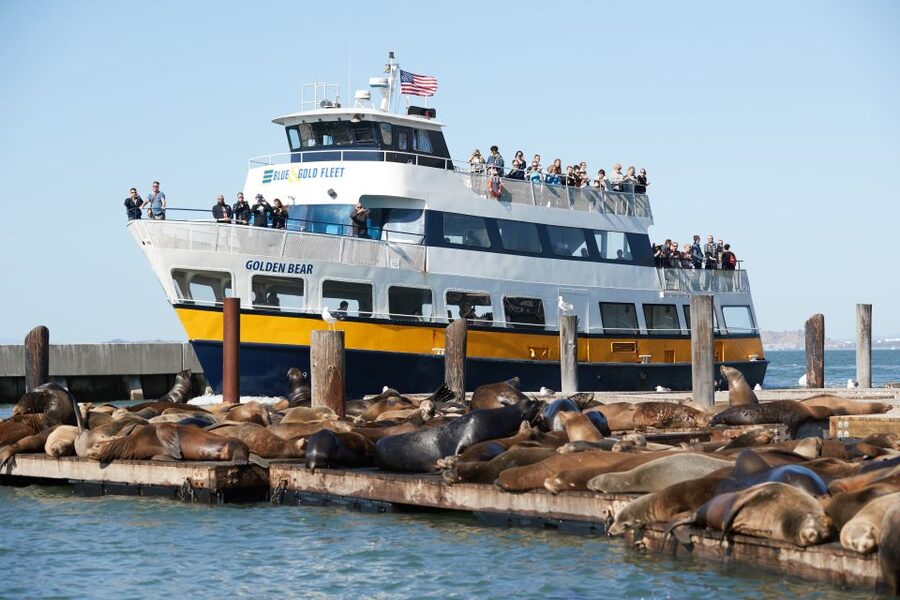 San Francisco: Alcatraz with San Francisco Bay Cruise - The award-winning audio tour inside the cell house