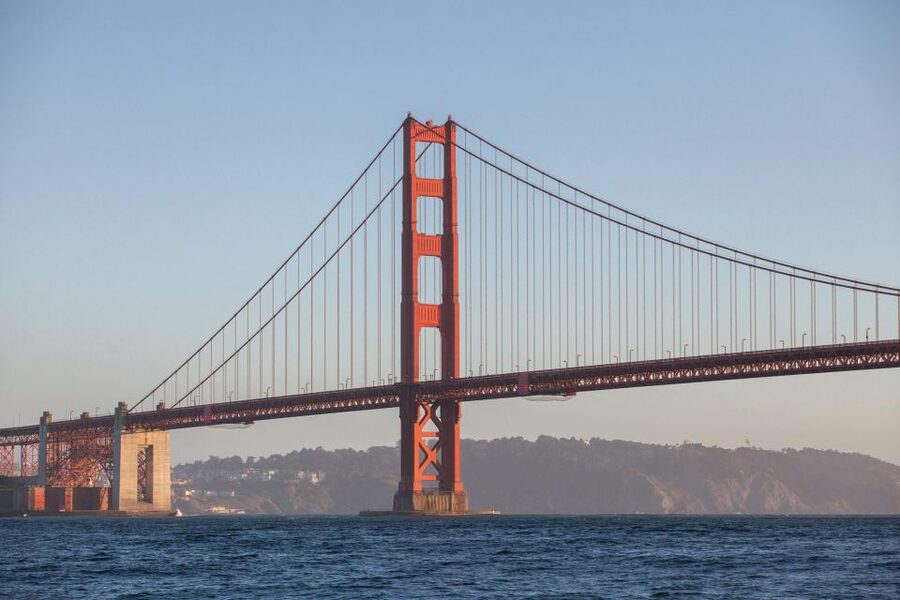 San Francisco Bay Sunset Cruise by Luxury Catamaran - Sea lions, birds, and possible wildlife sightings