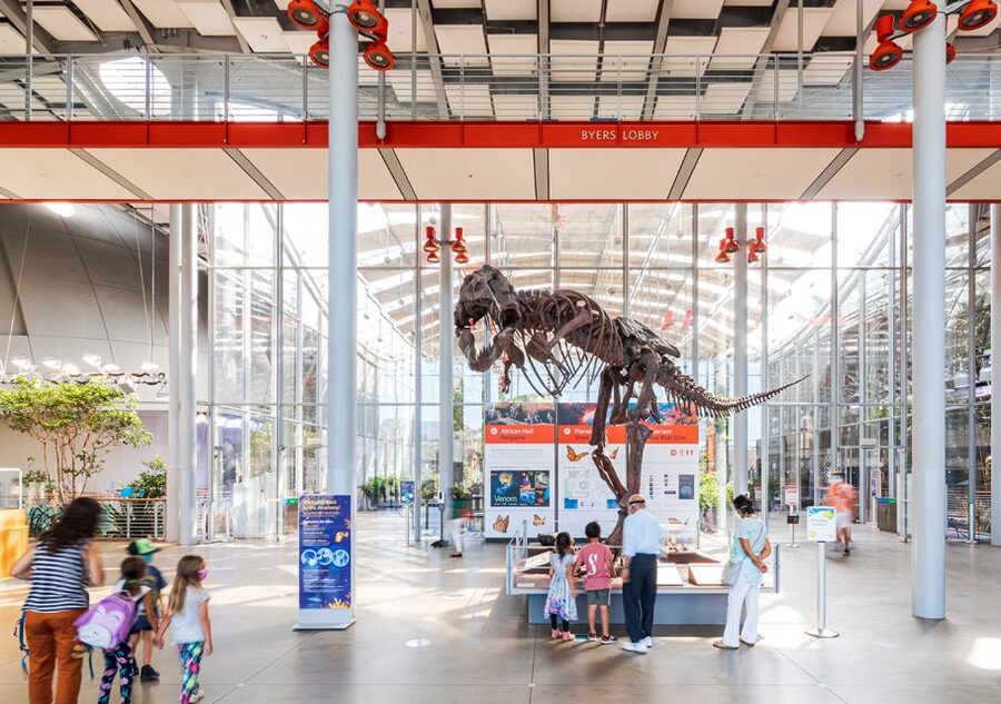 San Francisco: California Academy of Sciences Entry Ticket - One Roof, Four Big Science Experiences