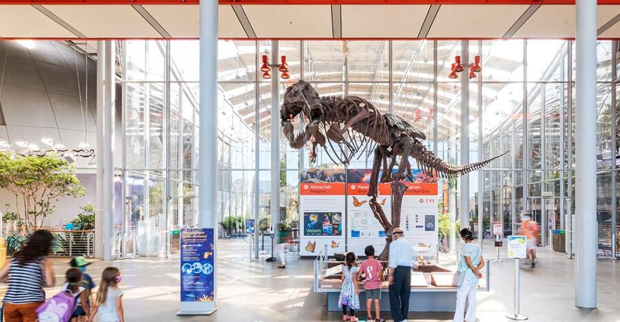 San Francisco: California Academy of Sciences Entry Ticket - The Steinhart Aquarium and Its Living Coral Reef