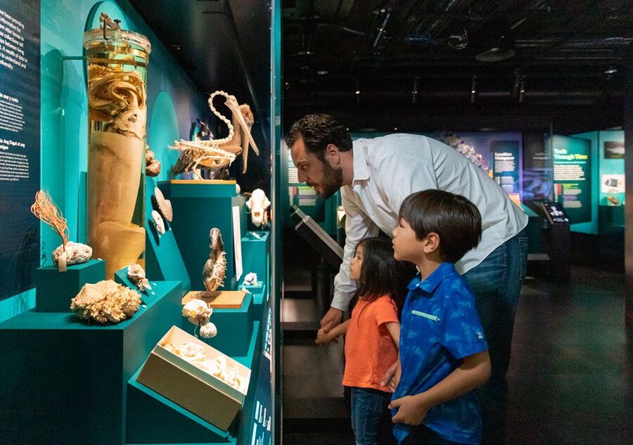 San Francisco: California Academy of Sciences Entry Ticket - Morrison Planetarium and Tiny Chef’s New Film