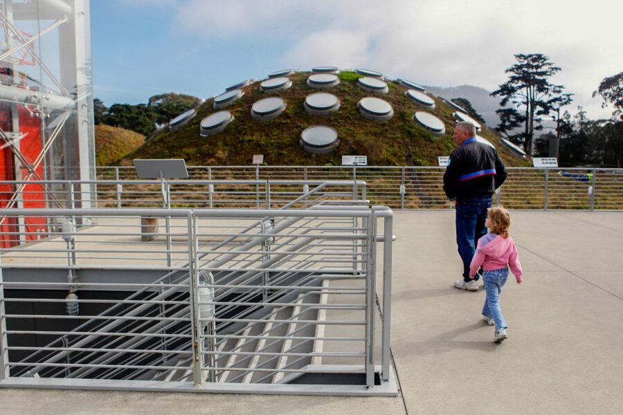 San Francisco: California Academy of Sciences Entry Ticket - Food, Crowds, and the Real Cost