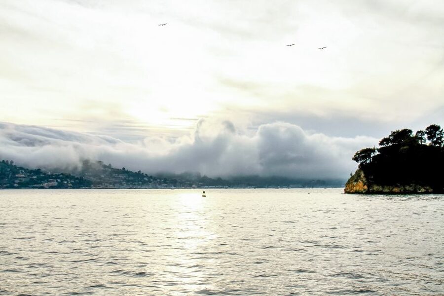 San Francisco: California Sunset Cruise (2-hours) - Alcatraz, Angel Island, and the Marin shore