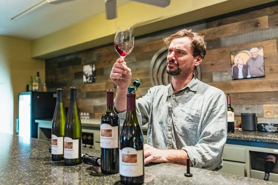 San Francisco: Half-Day Wine Country Excursion with Tastings - Why this half-day trip works in a San Francisco itinerary