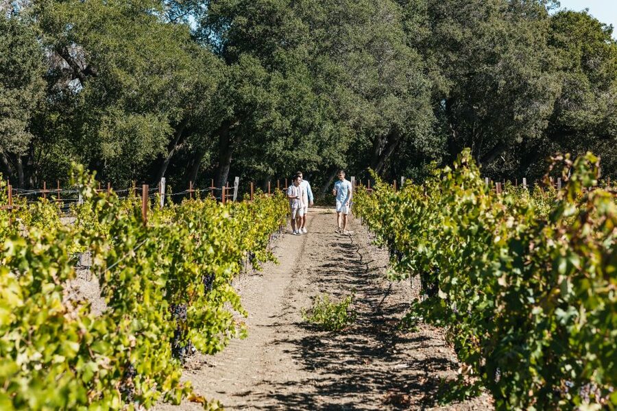 San Francisco: Half-Day Wine Country Excursion with Tastings - The second winery and the value of contrast
