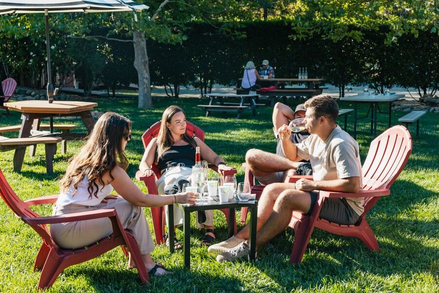 San Francisco: Half-Day Wine Country Excursion with Tastings - The return ride to San Francisco
