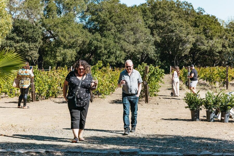 San Francisco: Half-Day Wine Country Excursion with Tastings - Optional Big Bus and city add-ons