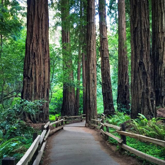 San Francisco: Hop-On Hop-Off Sightseeing Tour with 17 Stops - Union Square, SFMOMA, and Civic Center