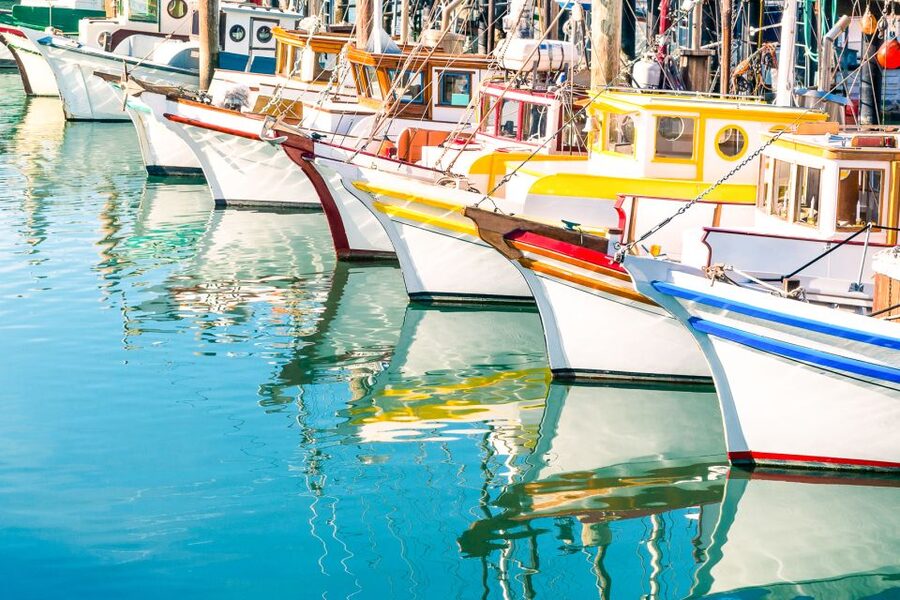 San Francisco: Muir Woods and Sausalito Half-Day Trip - Who should book this Muir Woods tour?