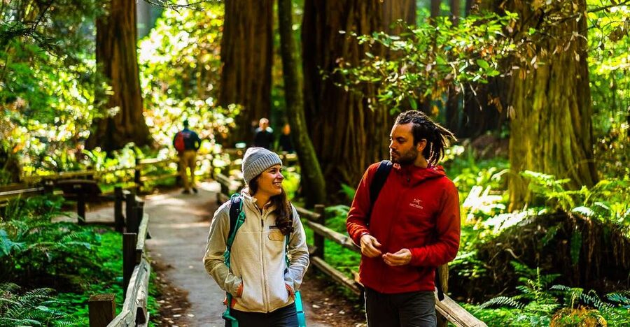 San Francisco: Muir Woods and Sausalito Half-Day Trip - Ninety minutes among the coastal redwoods