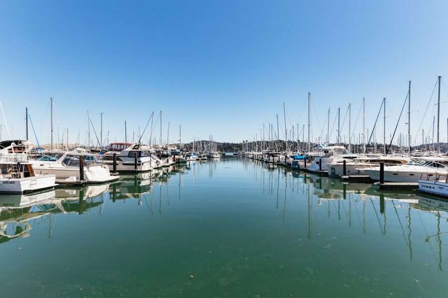 San Francisco: Muir Woods and Sausalito Small-Group Tour - The winding route through Marin County