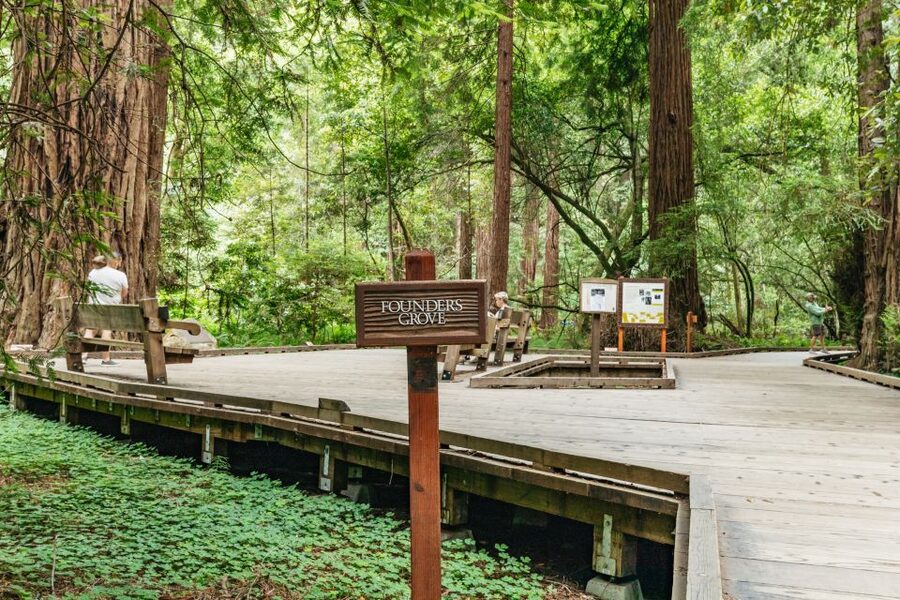 San Francisco: Muir Woods and Sausalito Small-Group Tour - An hour in Sausalito