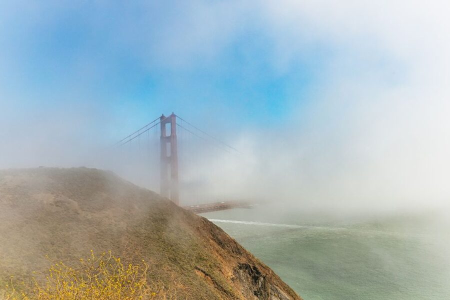 San Francisco: Muir Woods and Sausalito Small-Group Tour - What the $99 price really covers