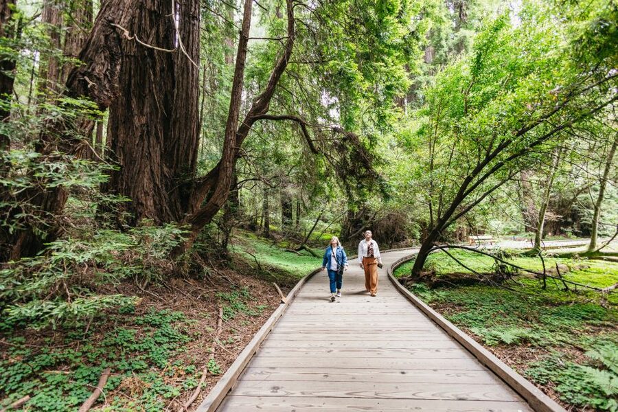 San Francisco: Muir Woods, Napa & Sonoma Valley Wine Tour - Sonoma Plaza: 75 minutes for lunch and a look around