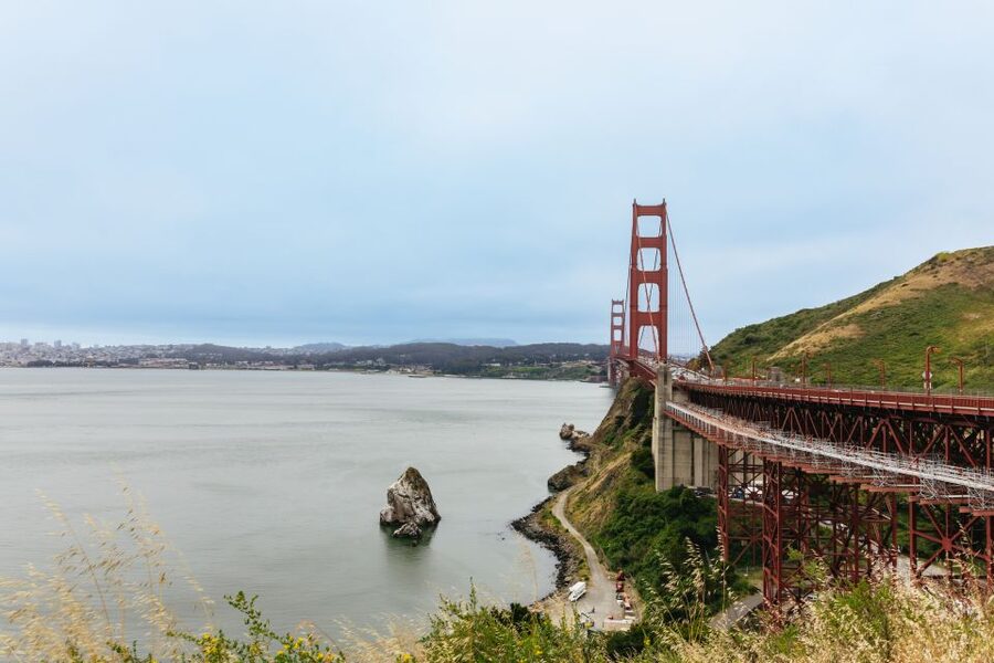 San Francisco: Muir Woods & Sausalito Tour with Ferry Option - Should you book the Muir Woods and Sausalito tour?