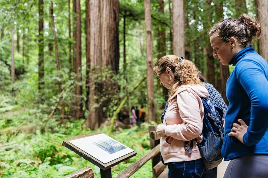 San Francisco: Muir Woods & Sausalito Tour with Ferry Option - From city streets to giant redwoods