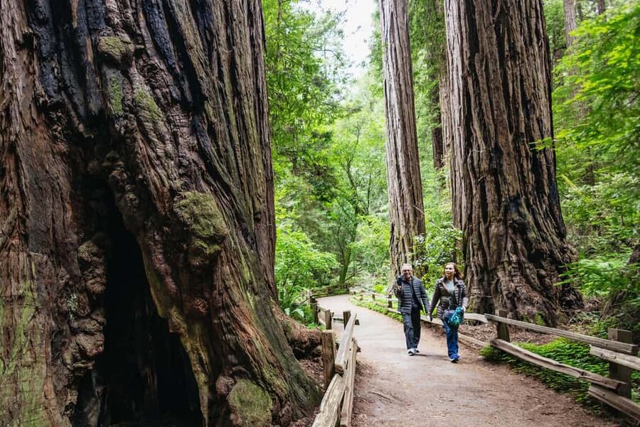 San Francisco: Muir Woods & Sausalito Tour with Ferry Option - Sausalito, waterfront views, and floating homes