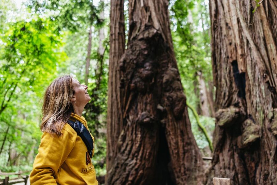 San Francisco: Muir Woods & Sausalito Tour with Ferry Option - A 90-minute walk beneath the redwoods