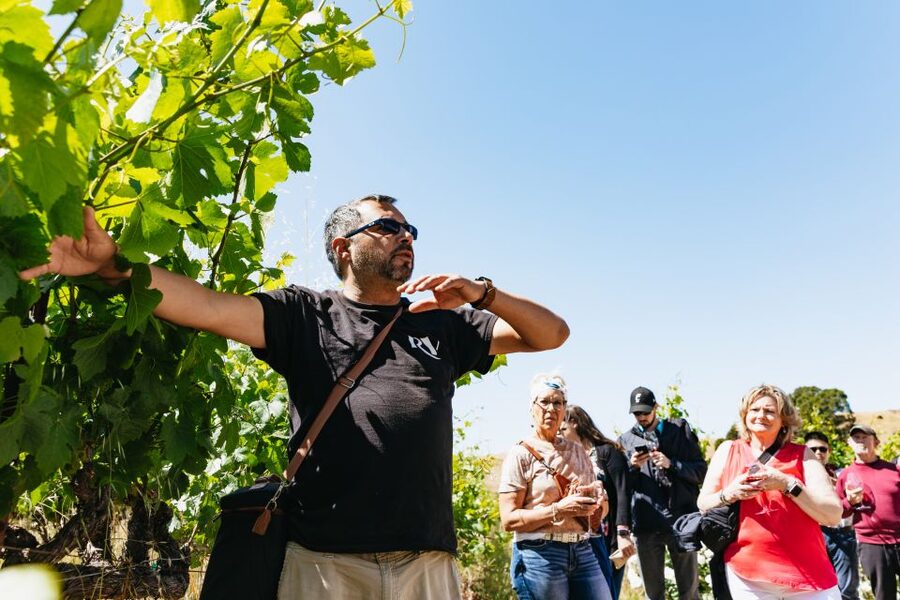 San Francisco: Napa and Sonoma Valley Wine Tour - First winery: your introduction to the tasting routine