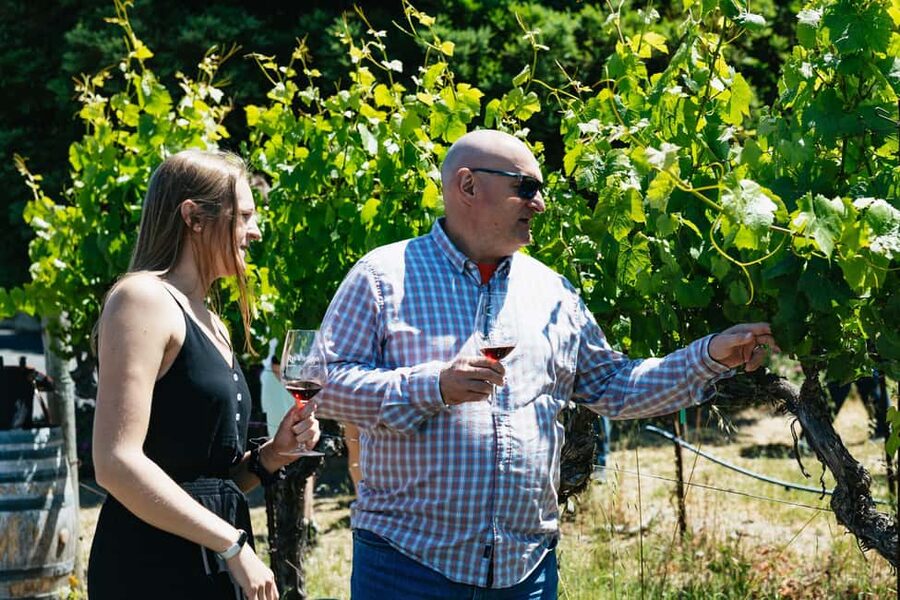 San Francisco: Napa and Sonoma Valley Wine Tour - Second winery: contrasting styles and settings
