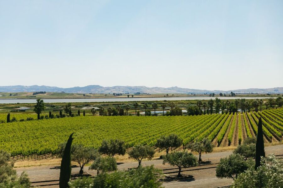 San Francisco: Napa and Sonoma Valley Wine Tour - Sonoma Plaza: 90 minutes for lunch and wandering