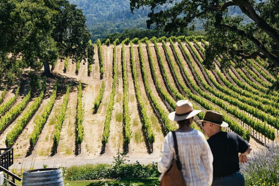 San Francisco: Napa and Sonoma Valley Wine Tour - Starting from Union Square or Fisherman’s Wharf