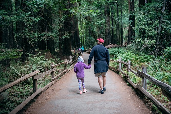 San Francisco Super Saver: Muir Woods & Wine Country w/ optional Gourmet Lunch - Why this San Francisco day trip works