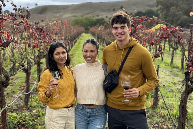 San Francisco Super Saver: Muir Woods & Wine Country w/ optional Gourmet Lunch - Mayo Family Winery and smaller-scale wine making