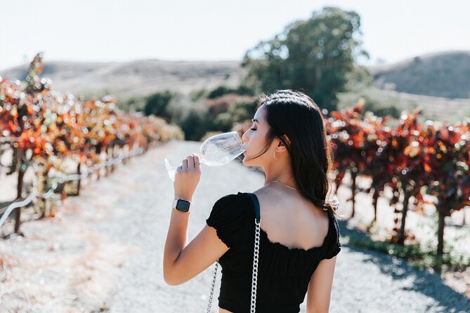 San Francisco Super Saver: Muir Woods & Wine Country w/ optional Gourmet Lunch - The final Golden Gate view