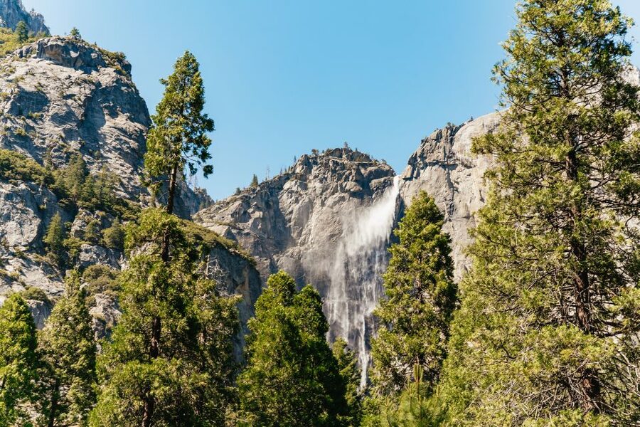 San Francisco: Yosemite National Park & Giant Sequoias Hike - Audio guides and language support