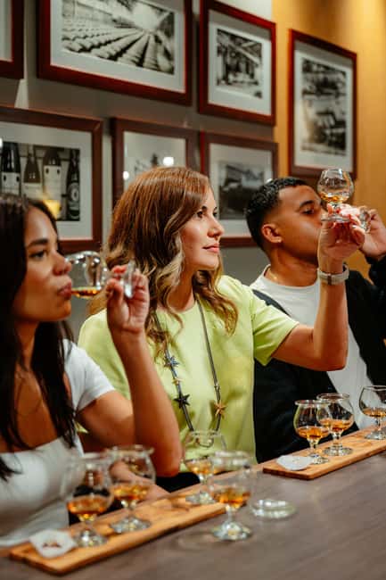 San Juan: Casa Bacardi Distillery Tour - Why Casa Bacardi works as a San Juan side trip