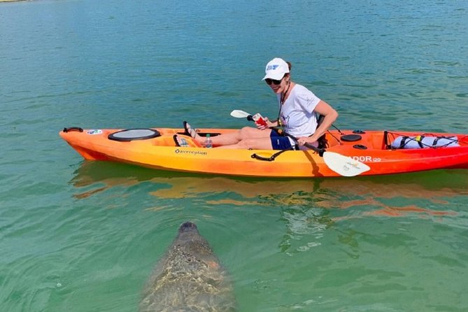 Sarasota Guided Mangrove Tunnel Kayak Tour - Choosing between a single and tandem kayak