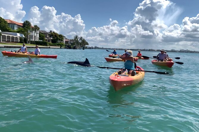 Sarasota Mangrove Tunnel Guided Kayak Adventure - How the two-hour format works for your day