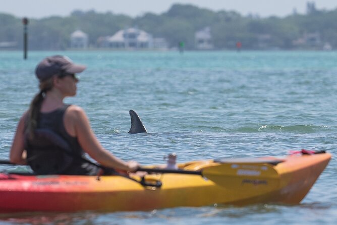 Sarasota Mangrove Tunnel Guided Kayak Adventure - Who should book this Sarasota kayak adventure?