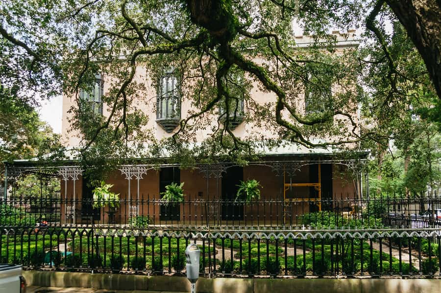 Savannah: Old Savannah Tours Historic Overview - Comfort, weather, and the view from your seat