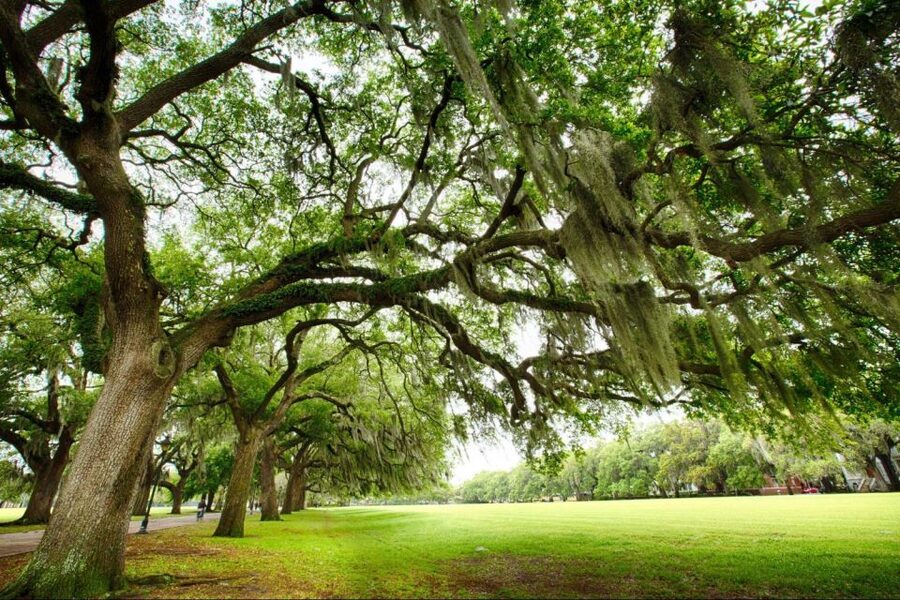 Savannah: Riverboat Cruise & City Tour Combo - Should you book the Riverboat Cruise and City Tour Combo?