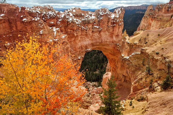 Scenic Tour of Bryce Canyon - Viewpoints, weather, and the value of flexibility