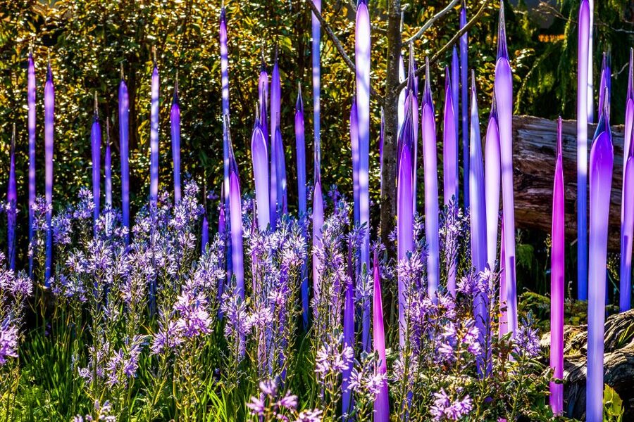 Seattle: Chihuly Garden and Glass Entry Ticket - The Glasshouse and its 100-foot centerpiece