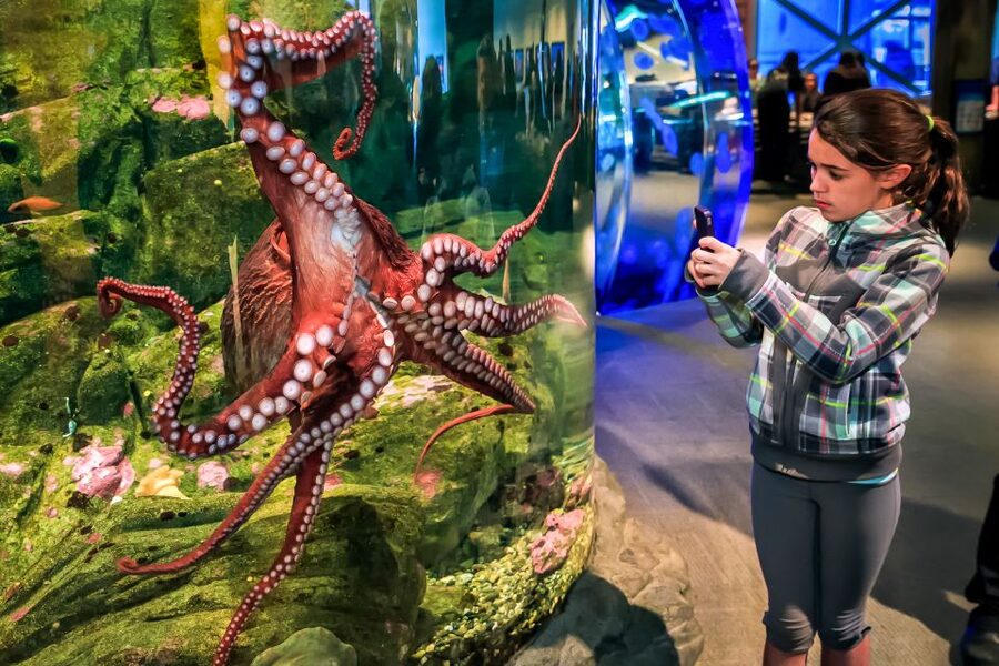 Seattle CityPASS®: Save up to 46% at 5 Top Attractions - Build your five-attraction plan around neighborhoods