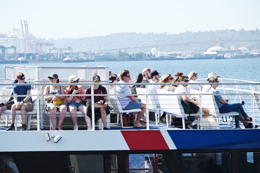 Seattle: Half-Day Wildlife and Whale Watching Cruise - What you may see from the boat